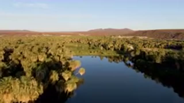 SAN IGNACIO BCS MEXICO-2023: River Surrounded By Palm Trees And Mountains