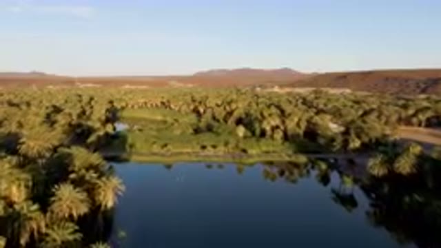 SAN IGNACIO BCS MEXICO-2023: River Surrounded By Palm Trees And Mountains
