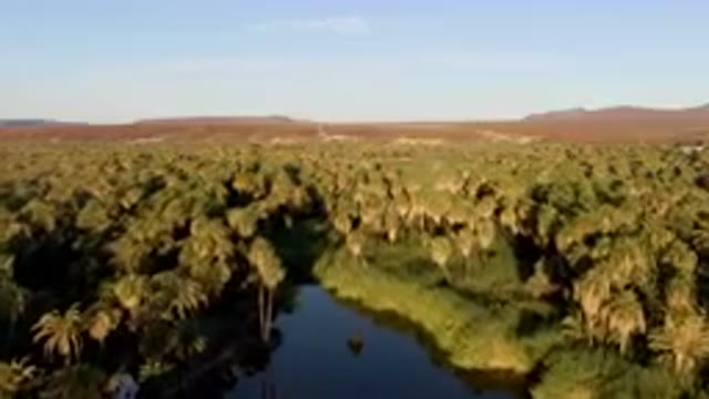 SAN IGNACIO BCS MEXICO-2023: River Surrounded By Palm Trees And Mountains