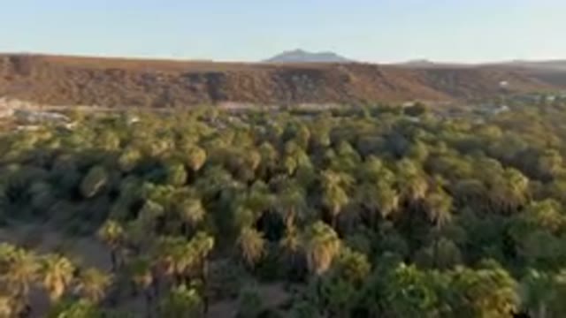 SAN IGNACIO BCS MEXICO-2023: Arid Mountains and Palm Forest with Oasis in the Desert