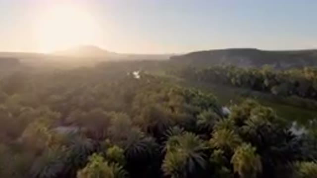 SAN IGNACIO BCS MEXICO-2023: River Surrounded By Palm Trees And Mountains