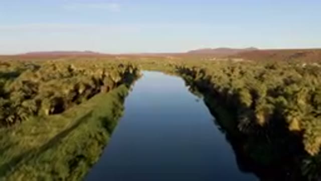 SAN IGNACIO BCS MEXICO-2023: River Running Through A Lush Green Forest