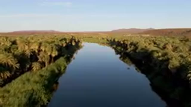 SAN IGNACIO BCS MEXICO-2023: River Running Through A Lush Green Forest