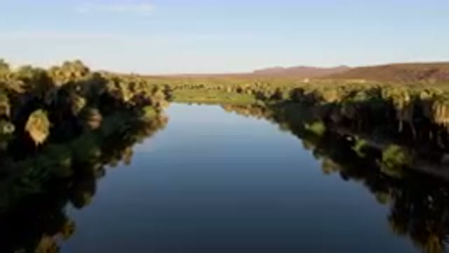 SAN IGNACIO BCS MEXICO-2023: River With Trees And A Sky Background