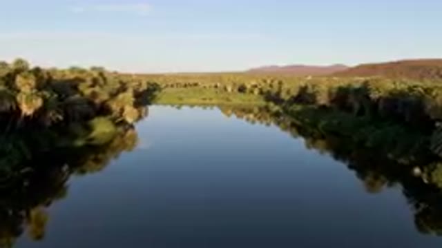 SAN IGNACIO BCS MEXICO-2023: River With Palm Trees And A Blue Sky