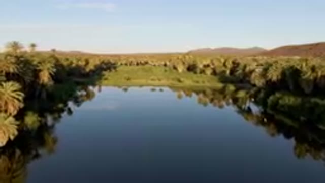 SAN IGNACIO BCS MEXICO-2023: River With Palm Trees And A Mountain In The