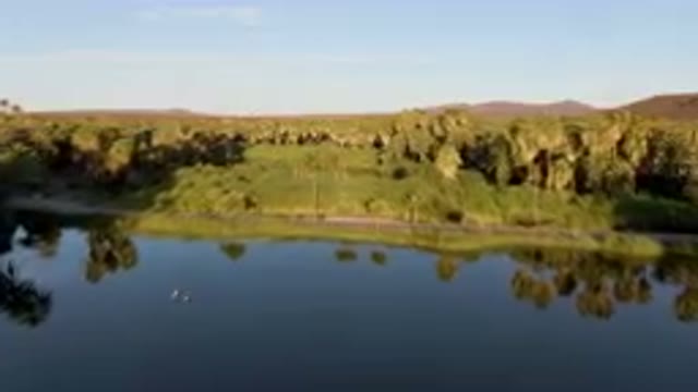SAN IGNACIO BCS MEXICO-2023: River Surrounded By Palm Trees And A Forest