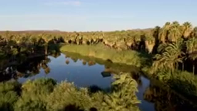 SAN IGNACIO BCS MEXICO-2023: River With Palm Trees And A Boat