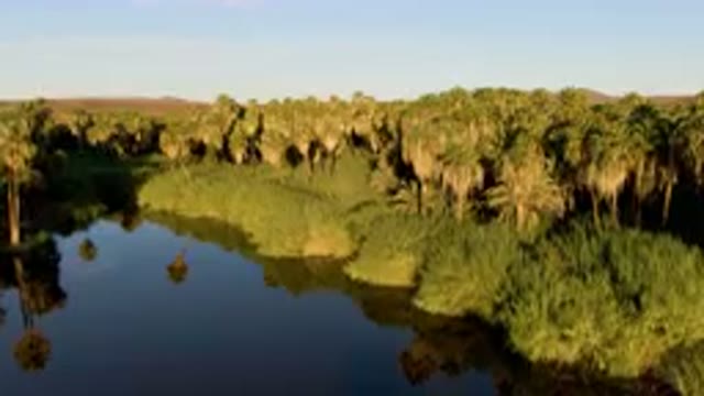 SAN IGNACIO BCS MEXICO-2023: River With Trees And A Sky Background