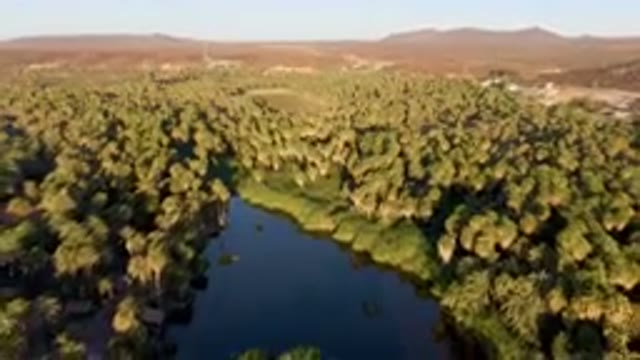 SAN IGNACIO BCS MEXICO-2023: River Surrounded By Palm Trees And Mountains