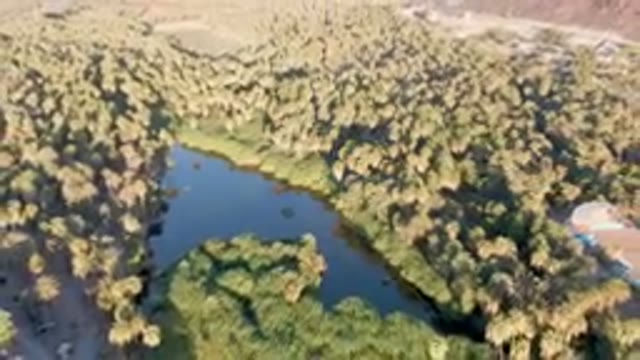 SAN IGNACIO BCS MEXICO-2023: Aerial River Surrounded By Palm Trees And A Road