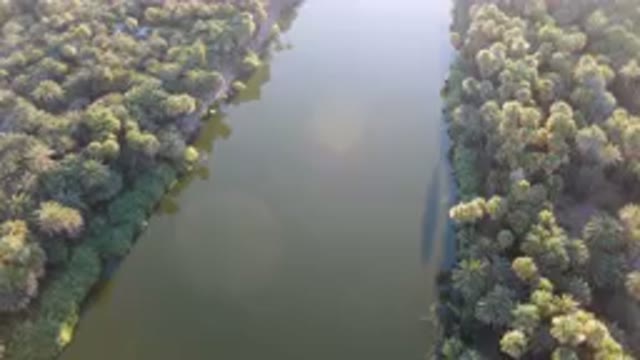 SAN IGNACIO BCS MEXICO-2023: River Surrounded By Palm Trees And A Forest