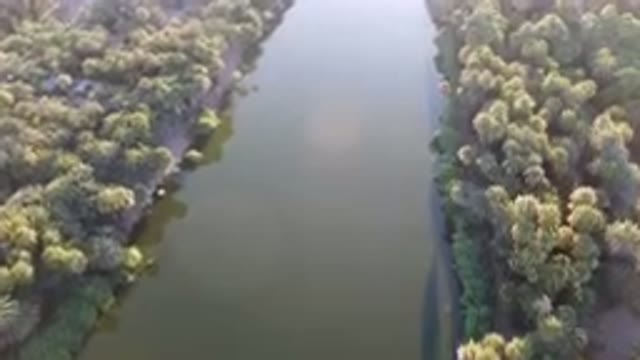 SAN IGNACIO BCS MEXICO-2023: River Surrounded By Palm Trees And A Road