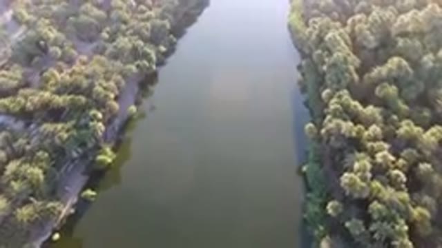 SAN IGNACIO BCS MEXICO-2023: River Surrounded By Palm Trees And A Road