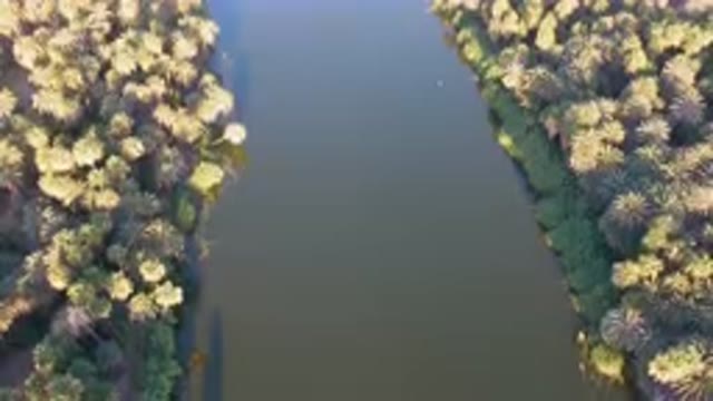 SAN IGNACIO BCS MEXICO-2023: River Surrounded By Trees And A Forest