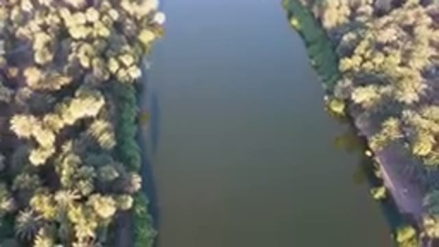 SAN IGNACIO BCS MEXICO-2023: River With A Boat In It Surrounded By Palm Trees