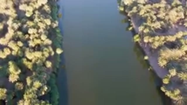SAN IGNACIO BCS MEXICO-2023: River Surrounded By Palm Trees And A Forest