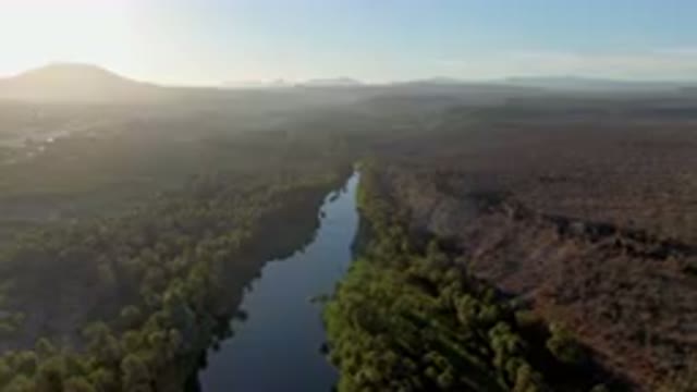 SAN IGNACIO BCS MEXICO-2023: River Running Through A Forest Filled With Trees