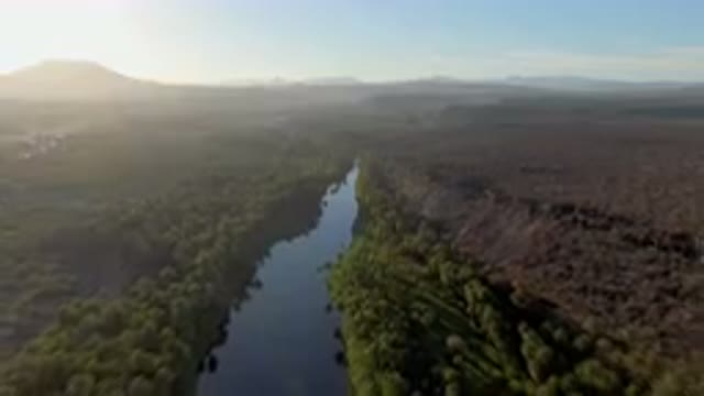 SAN IGNACIO BCS MEXICO-2023: River Running Through A Forest Filled With Trees