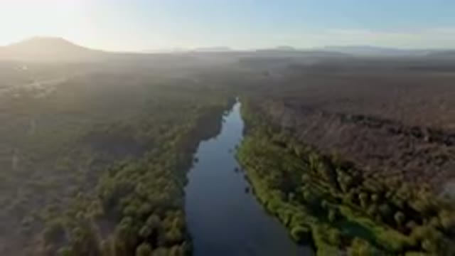 SAN IGNACIO BCS MEXICO-2023: River Running Through A Lush Green Forest