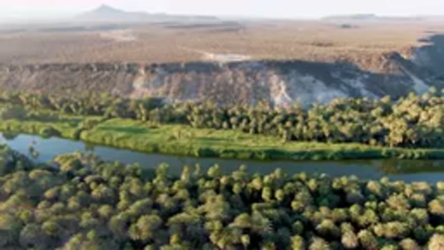 SAN IGNACIO BCS MEXICO-2023: Aerial River Running Through A Lush Green Valley