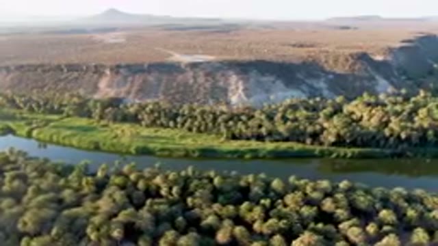 SAN IGNACIO BCS MEXICO-2023: River Running Through A Lush Green Forest