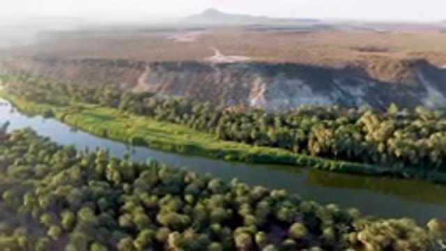 SAN IGNACIO BCS MEXICO-2023: Aerial River Running Through A Lush Green Forest