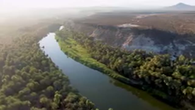 SAN IGNACIO BCS MEXICO-2023: River Running Through A Lush Green Forest