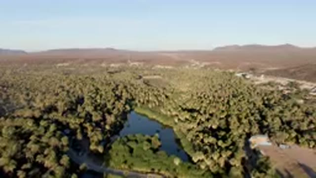 SAN IGNACIO BCS MEXICO-2023: Aerial River Running Through A Lush Green Forest