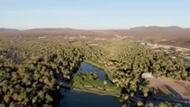 SAN IGNACIO BCS MEXICO-2023: Aerial River Running Through A Lush Green Forest