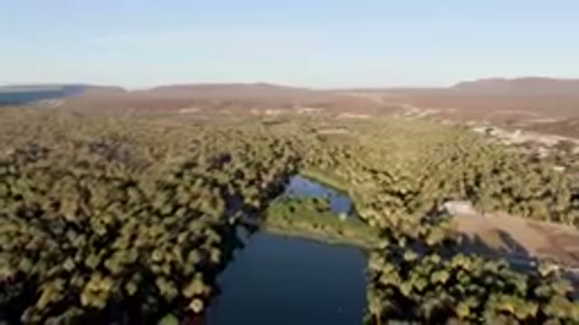 SAN IGNACIO BCS MEXICO-2023: River Surrounded By Trees And Mountains