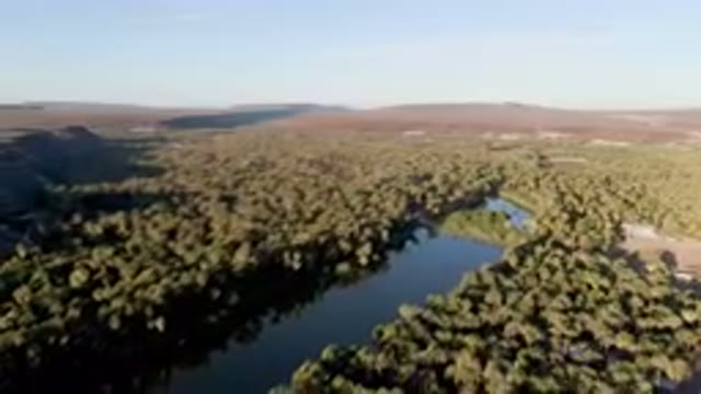 SAN IGNACIO BCS MEXICO-2023: River Running Through A Lush Green Forest