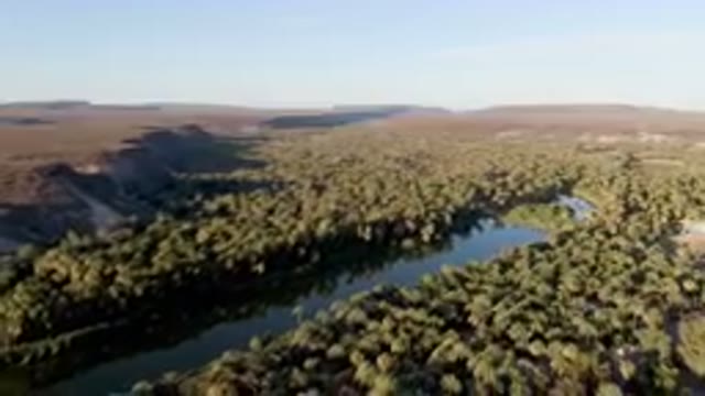 SAN IGNACIO BCS MEXICO-2023: River Running Through A Forest Filled With Trees