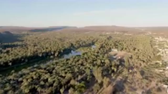 SAN IGNACIO BCS MEXICO-2023: Aerial River Running Through A Forest Filled With