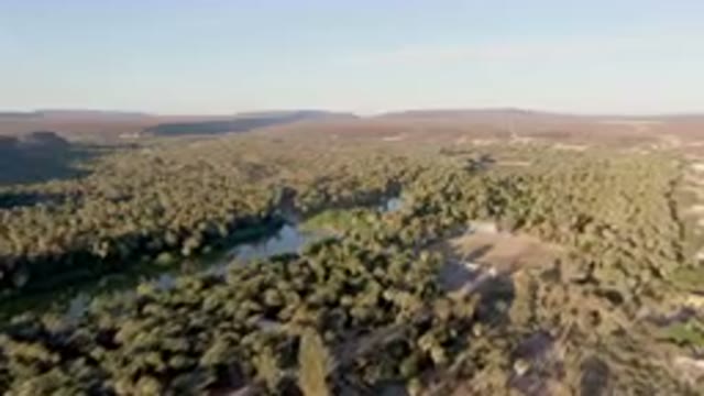 SAN IGNACIO BCS MEXICO-2023: Aerial Forest With A River And A Small House