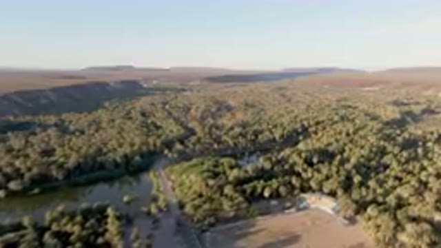 SAN IGNACIO BCS MEXICO-2023: Aerial Large Wooded Area With A River And A Road