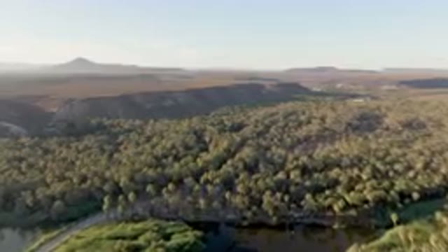 SAN IGNACIO BCS MEXICO-2023: Aerial Forest With A River And A Road