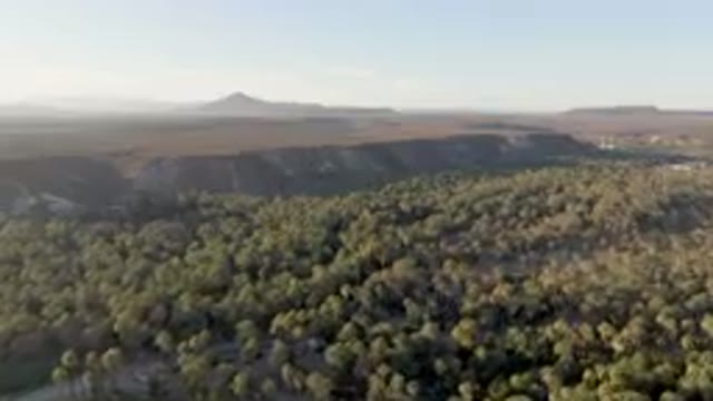 SAN IGNACIO BCS MEXICO-2023: Aerial Forest With A Mountain In The Distance