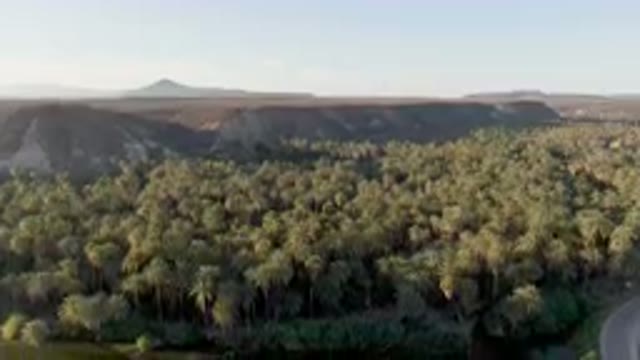 SAN IGNACIO BCS MEXICO-2023: Road And A River In A Valley