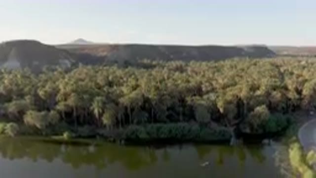 SAN IGNACIO BCS MEXICO-2023: River With A Road And A Forest
