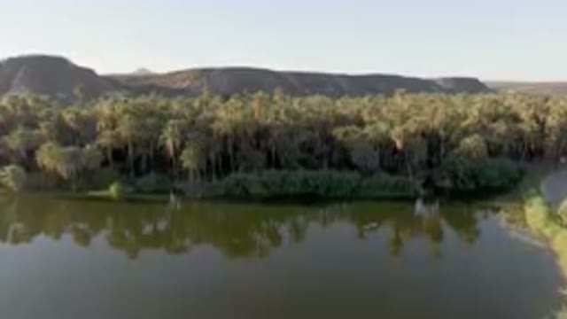 SAN IGNACIO BCS MEXICO-2023: Trees Growing In Water Near A River With A
