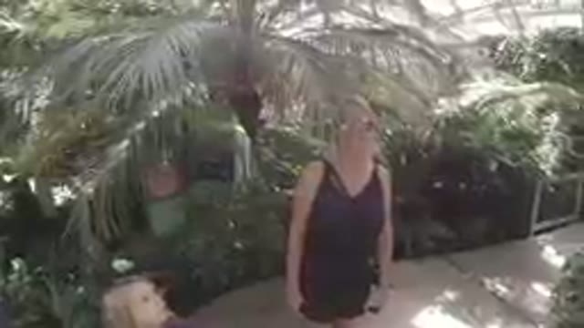 COLORADO, UNITED STATES-2019: Woman Standing Behind A Palm Tree