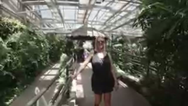 COLORADO, UNITED STATES-2019: Woman Is The Center Of Attention