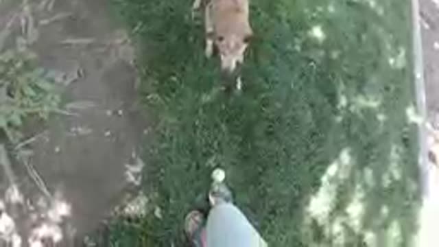 08-16-19-Colorado-USA-2019-DJI_0191_24.mp4