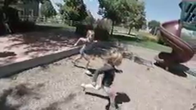 October 6, 2019. Denver, Colorado-Kids Climbing a Playhouse