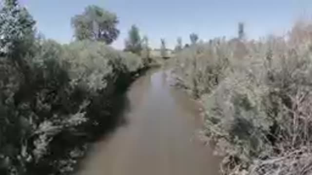 VIEW OF A RIVER WITH TREES AND BUSHES IN THE BACKGROUND