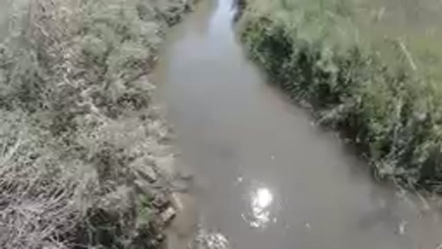 COLORADO, UNITED STATES-2019: Unclean River