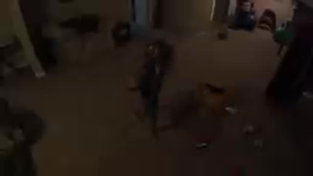Little Girl Standing In A Living Room With A Bag