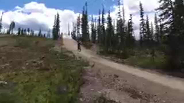 Person Riding A Bike Down A Dirt Road