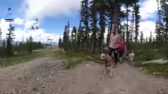 08-19-19-Colorado-USA-DJI_0258_17.mp4
